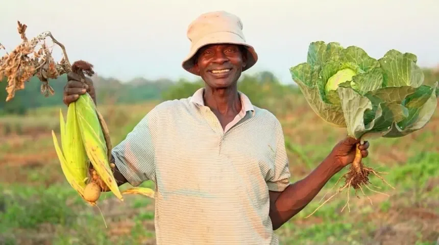 WSHG member with harvested kale